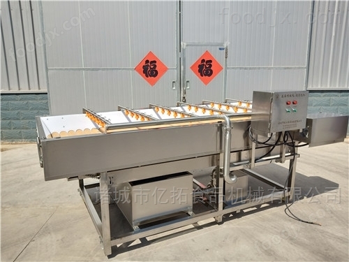 盐渍食用菇加工生产线机器